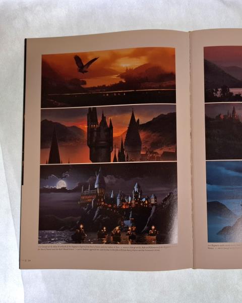 LIBRO HARRY POTTER PAGE TO SCREEN