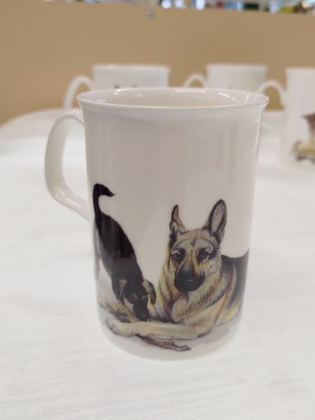 TAZZA ROY KIRKHAM DOG/CAT LOVERS